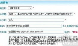 新闻爆料入口投稿平台,投稿平台助力舆论监督新篇章